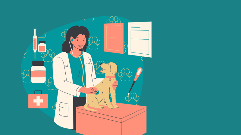 The Digital Frontier of Veterinary Care: Exploring the World of Veterinary Software Systems